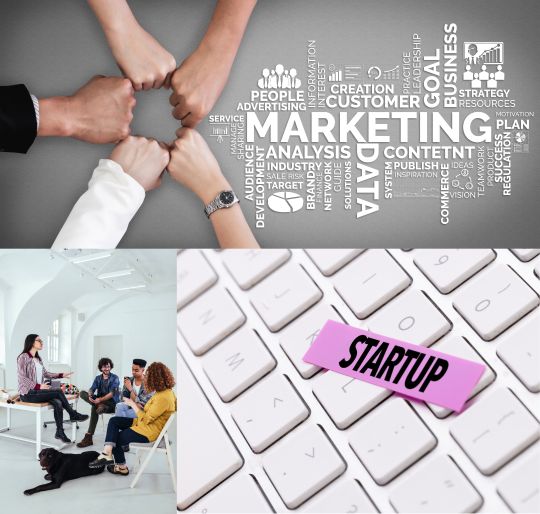 8 Essential Steps to Finding the Best Digital Marketing Agency for Startups